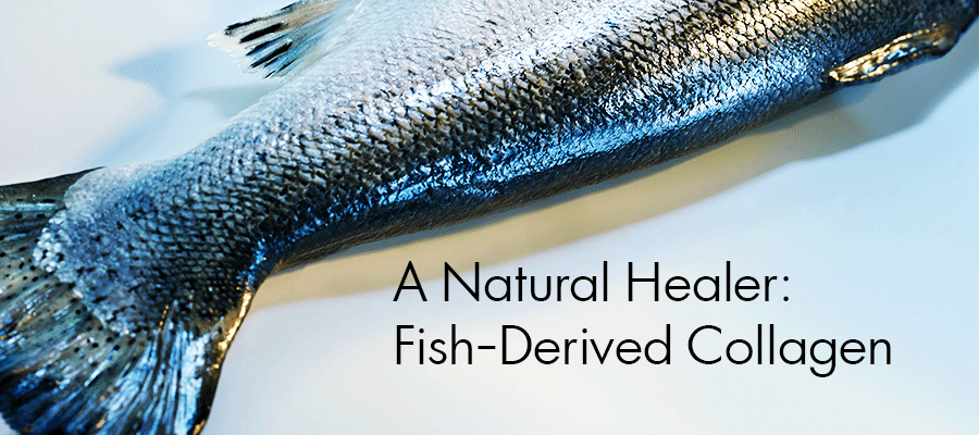 Scientific proof: Fish Collagen Naturally Heals the Skin